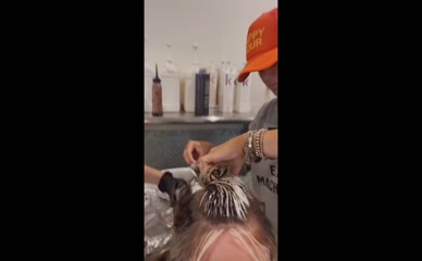 Natalie Alyn Lind Hair Dye Process