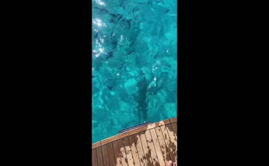 Julianne Hough dives into ocean, nude ass visible