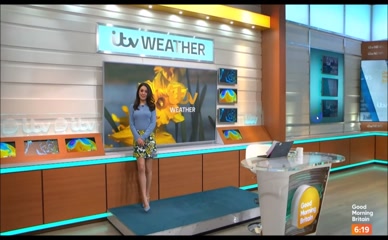 Laura Tobin Mini Skirt Weather Report