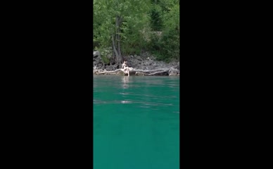 Celine Zed's Lakeside Tits and Ass Tease