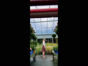 theapronmodel nipples see-through top