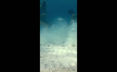 Lauren Landers underwater anchor work