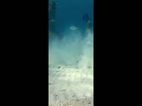 Lauren Landers underwater anchor work