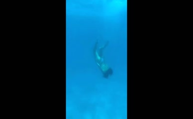 Myleene Klass bikini boat dive