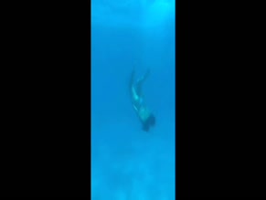 Myleene Klass bikini boat dive
