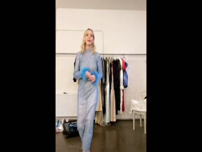Katherine Ryan see-through dress.