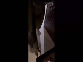 saraayrobles: is caught on camera with her pants down and exposed genitals