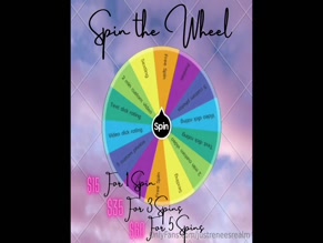 justreneesrealm Spin the Wheel Dick Rating Game