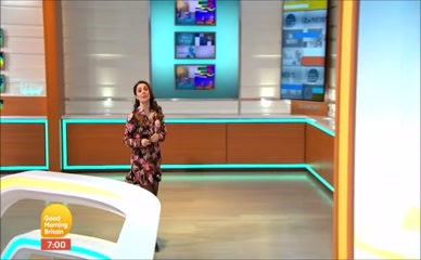Laura Tobin's pantyhose legs.