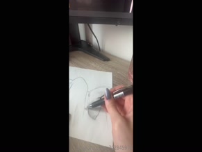 Pencil Sketch of Sex Act